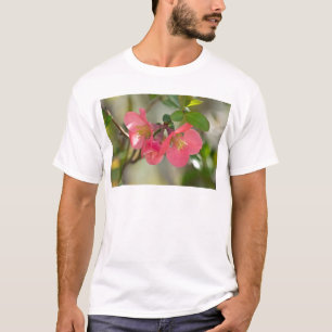 Camiseta Brilho Cinzento Rosa