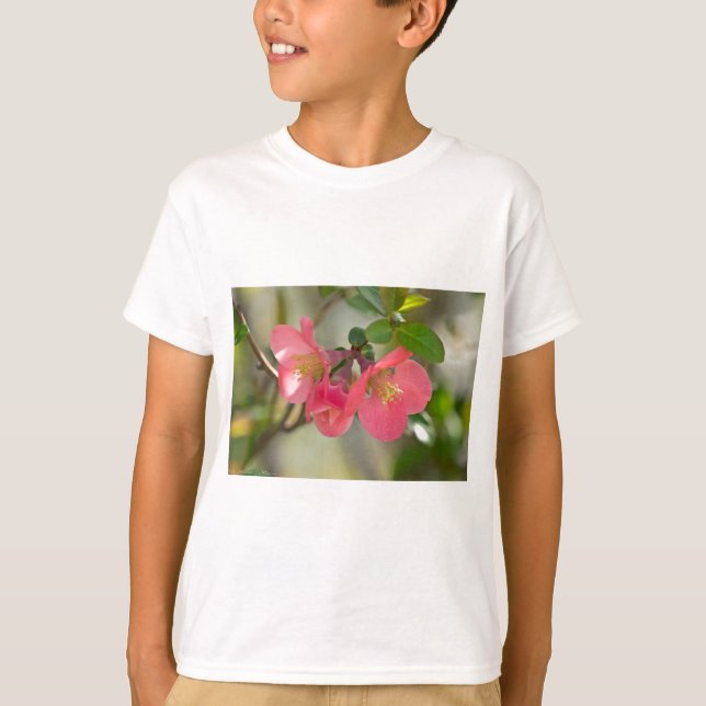 Camiseta Brilho Cinzento Rosa (Frente)
