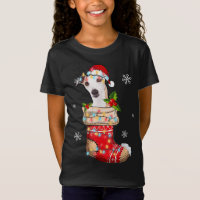 Brincadeira Engraçada No Cachorro De Natal Da Meia