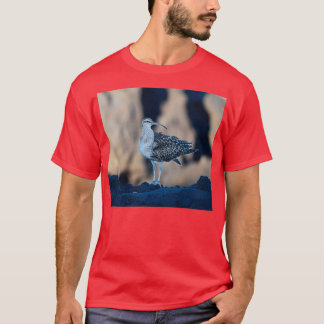 Camiseta Bristlethighted Curlew