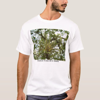 Camiseta Bromeliad fora do la Estrella de Grutas de