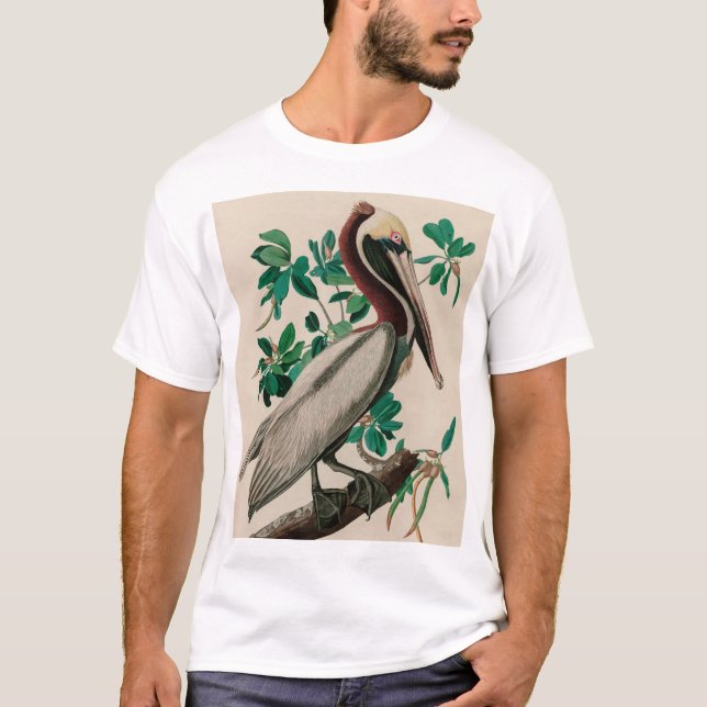 Camiseta Brown Pelican Birds of America Audubon Impressão (Frente)