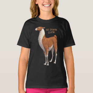 Camiseta Brown & White Sem Drama Llama