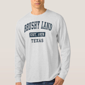 Camiseta Brushy Land