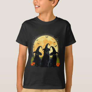Camiseta Bruxa Gato Preto E Abóbora De Lua Cheia No Hallowe
