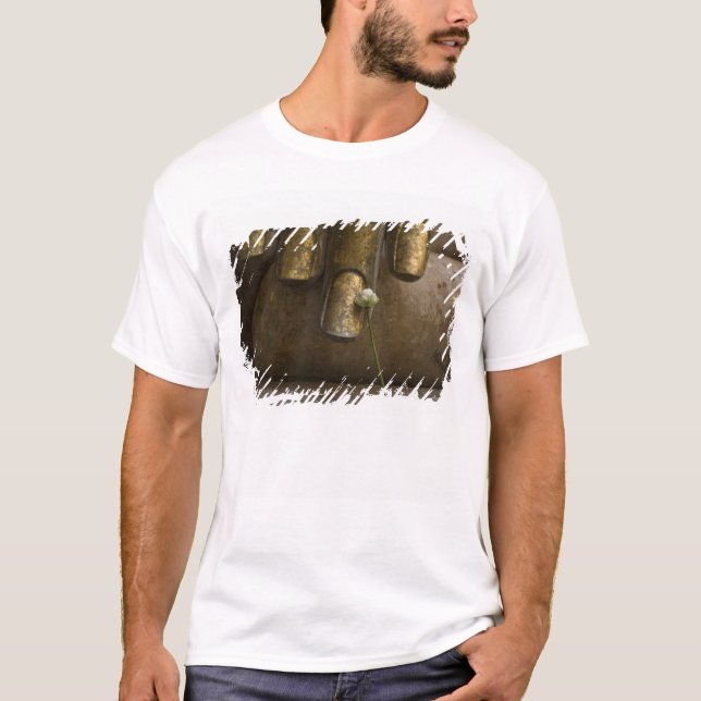 Camiseta Buda em Wat Si Chum. (Frente)