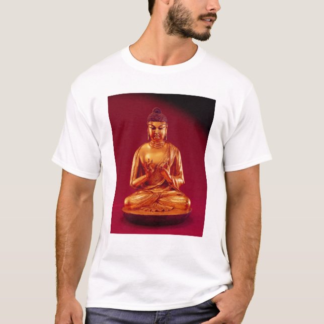 Camiseta Buddha Vairocana, dinastia de Tang (Frente)