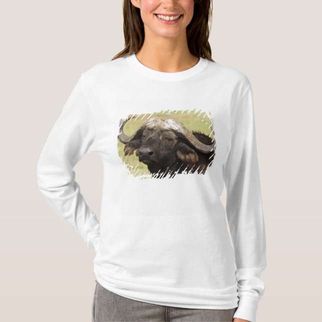 Camiseta Búfalo Africano, Syncerus caffer (Frente)