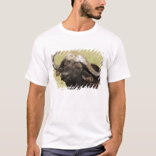 Camiseta Búfalo-africano, Syncerus caffer