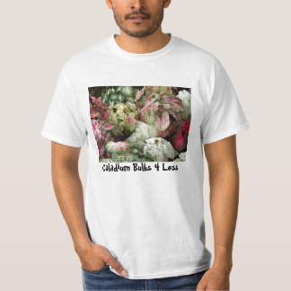 Camiseta BulkAssortPic, bulbos 4 do Caladium menos