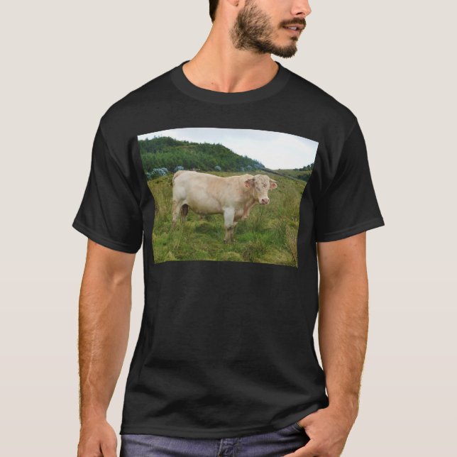 Camiseta Bull (Frente)