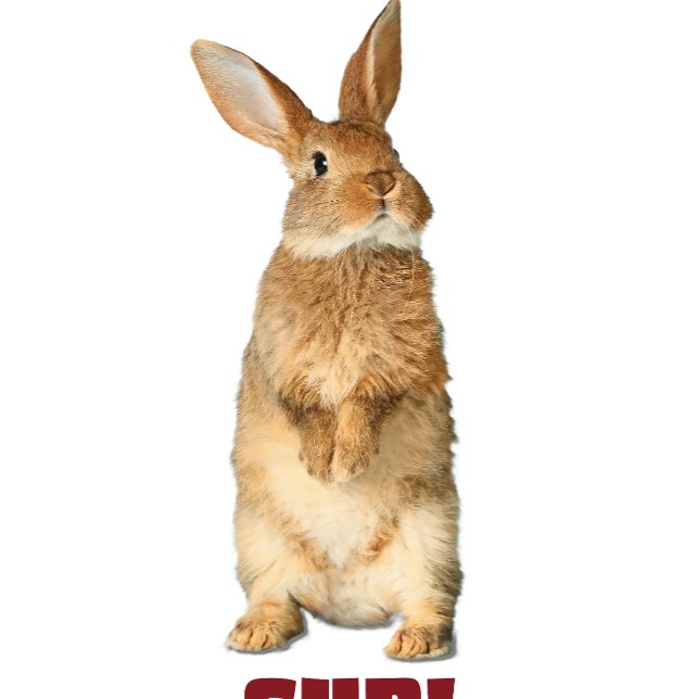 Camiseta Bunny Sup! (Criador carregado)