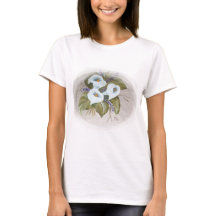 Buquê de aquarelas de chocos brancos