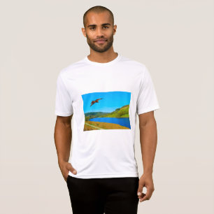 Camiseta Buzzard comum em voo sobre o reservatório de Ladyb
