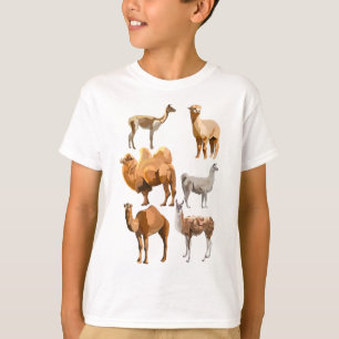 Camiseta C é para Camelid