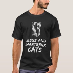 Camiseta C:\Users\Administrator\Downloads\CAT 17\Jesus E