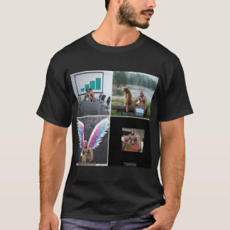 Camiseta C:\Users\DELL\Desktop\L28\L2288\Barry wood Meme fu