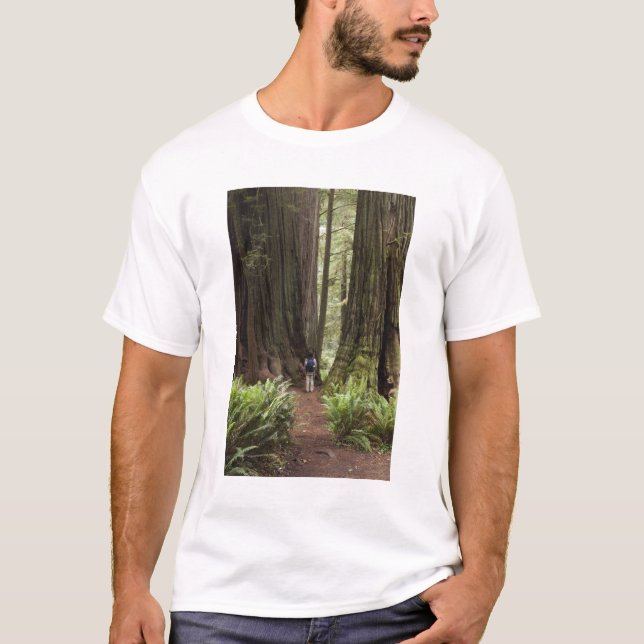 Camiseta CA, Jedediah Smith Redwoods State Park, (Frente)