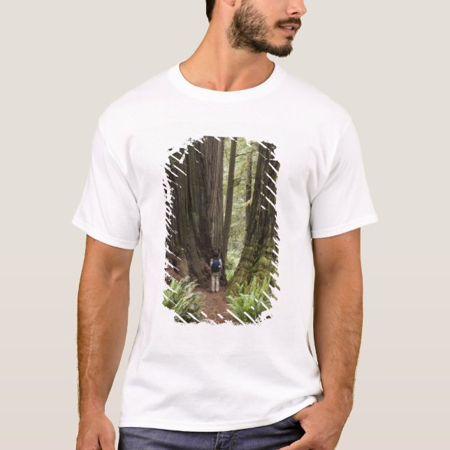 Camiseta CA, Jedediah Smith Redwoods State Park, (Frente)