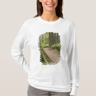 Camiseta CA, Jedediah Smith State Park, Simpson-Reed