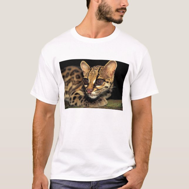 Camiseta CA, Panamá Central, Parque Nacional Soberania, Mar (Frente)