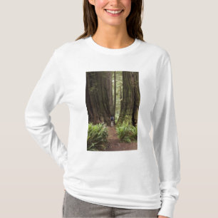 Camiseta CA, Parque Estadual de Redwoods Jedediah Smith,