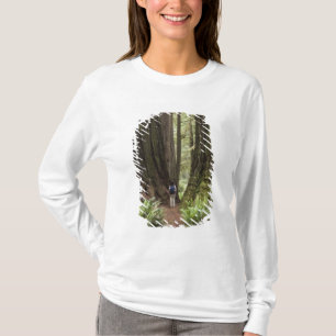 Camiseta CA, Parque Estadual de Redwoods Jedediah Smith,