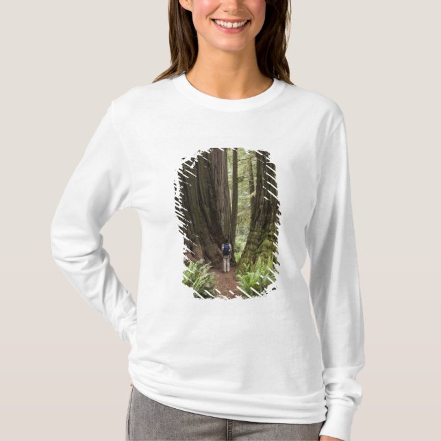 Camiseta CA, Parque Estadual de Redwoods Jedediah Smith, (Frente)