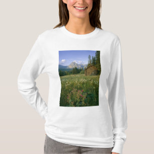 Camiseta Cabana antiga do Serviço de Parques no Vale de Cut
