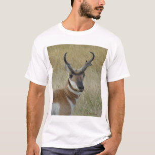 Camiseta Cabeça de antílope A5 atingido na cabeça