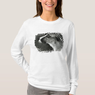 Camiseta Cabeça de Henri de Toulouse-Lautrec de um cão