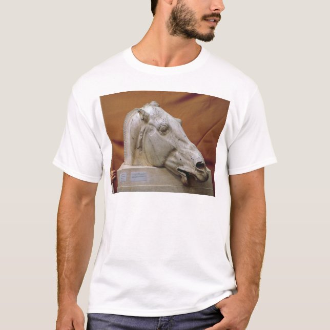 Camiseta Cabeça de um cavalo do Selene (Frente)