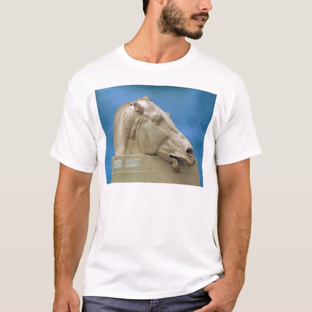 Camiseta Cabeça de um dos cavalos do Selene (Frente)
