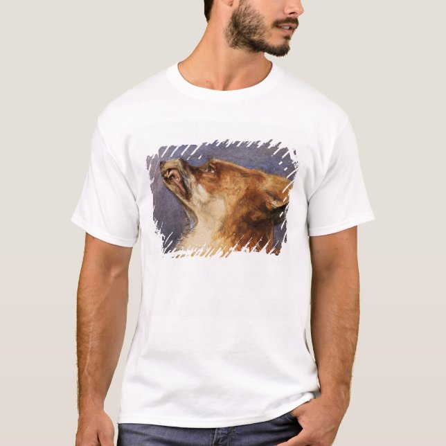 Camiseta Cabeça de um Fox (Frente)