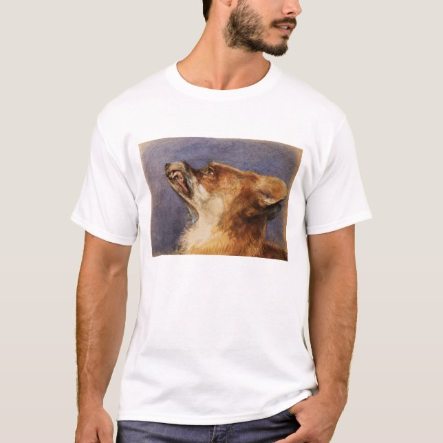 Camiseta Cabeça de um Fox (Frente)