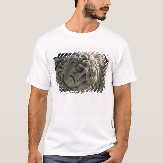 Camiseta Cabeça do Medusa (Frente)