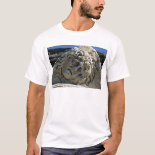 Camiseta Cabeça do Medusa