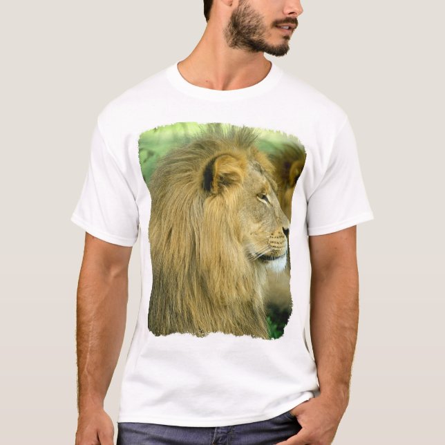 Camiseta Cabeça dos leões (Frente)