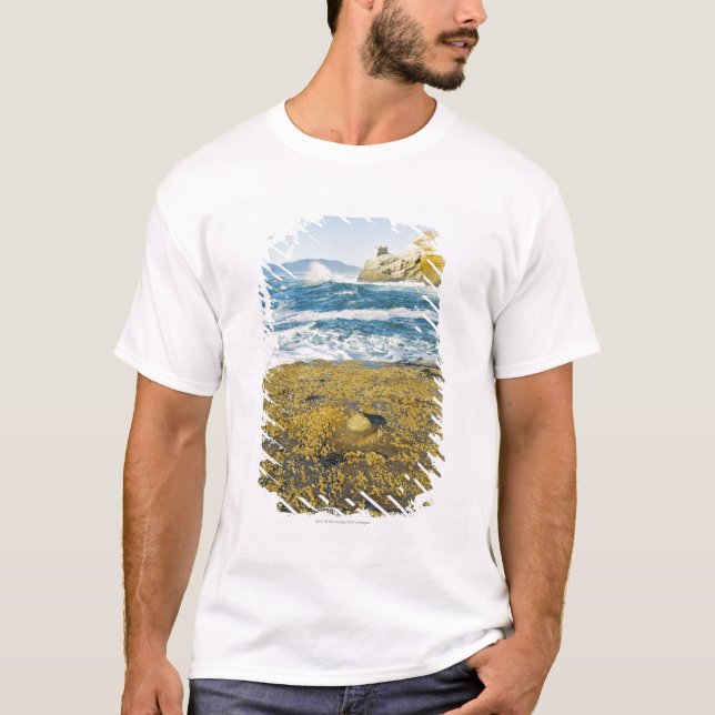 Camiseta Cabo Kiwanda e o Oceano Pacífico (Frente)
