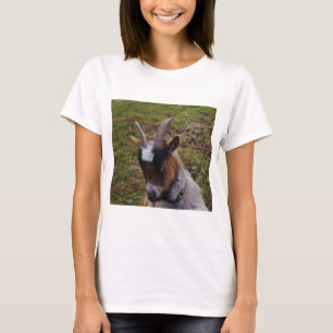 Camiseta Cabra bonito