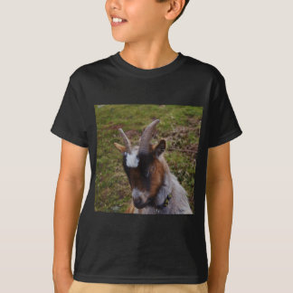 Camiseta Cabra bonito