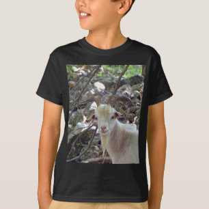 Camiseta Cabra de Billy