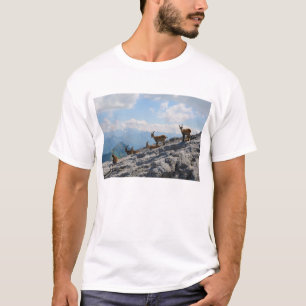 Camiseta Cabras de montanha selvagens do íbex alpino