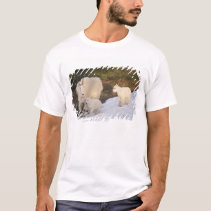 Camiseta cabras montanhosas
