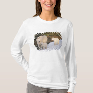 Camiseta cabras montesas