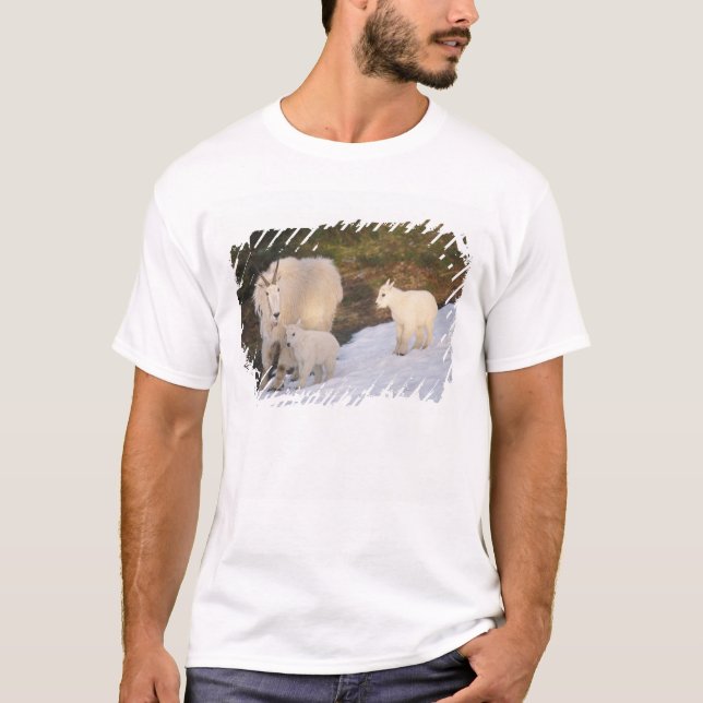 Camiseta cabras montesas (Frente)