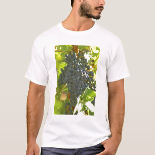 Camiseta cacho de uva Cabernet Sauvignon no Chateau