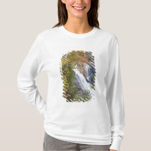 Camiseta Cachoeira Bald River