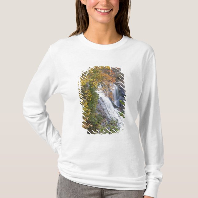 Camiseta Cachoeira Bald River (Frente)