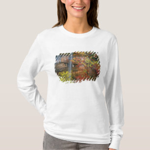 Camiseta Cachoeira, bordo de dentes grandes Acer